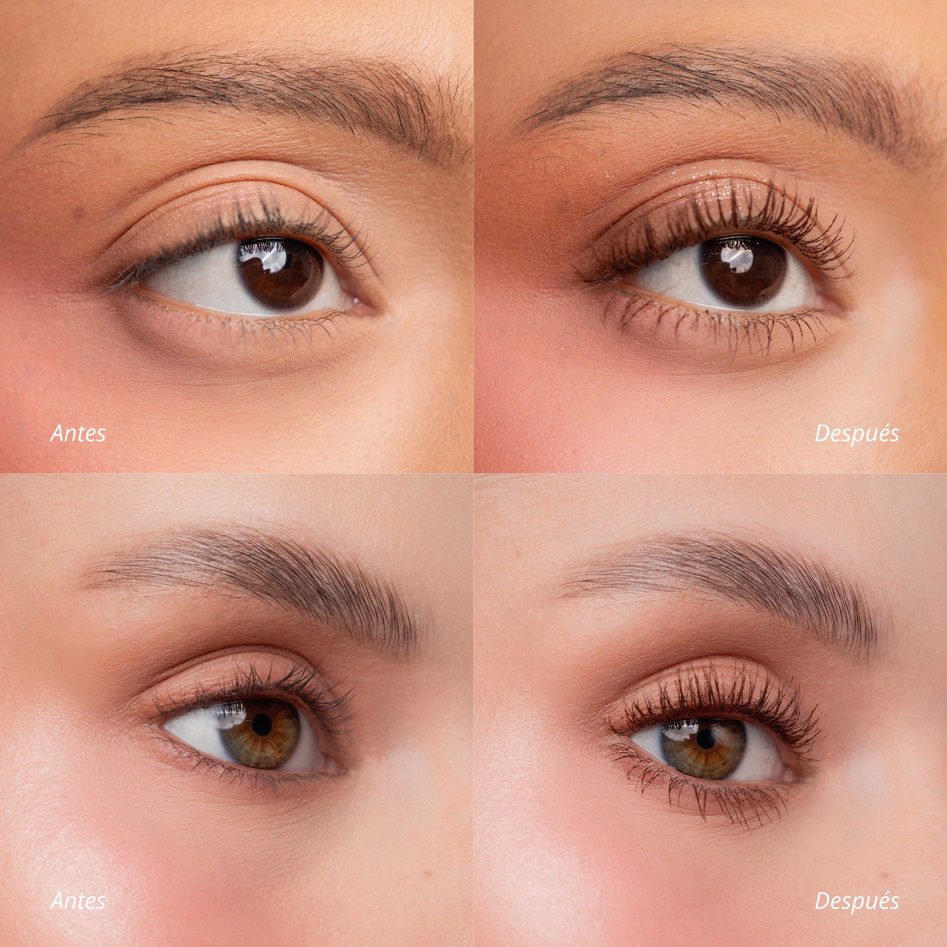 Pestañina Café Brown Paradise (A Prueba de Agua) - Ani-K Makeup