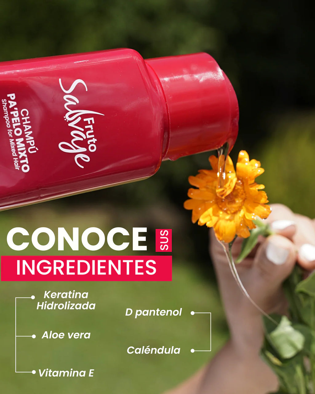 Shampoo Pa Pelo Mixto - Fruto Salvaje