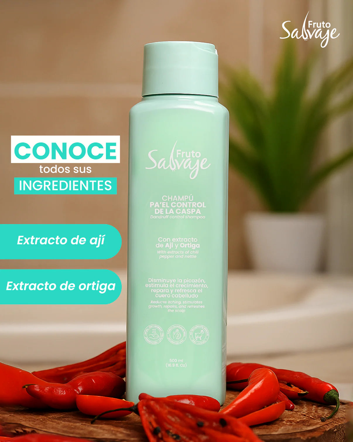 Shampoo Pa'el Control de la Caspa - Fruto Salvaje
