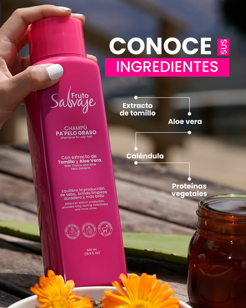 Shampoo Pa Pelo Graso - Fruto Salvaje