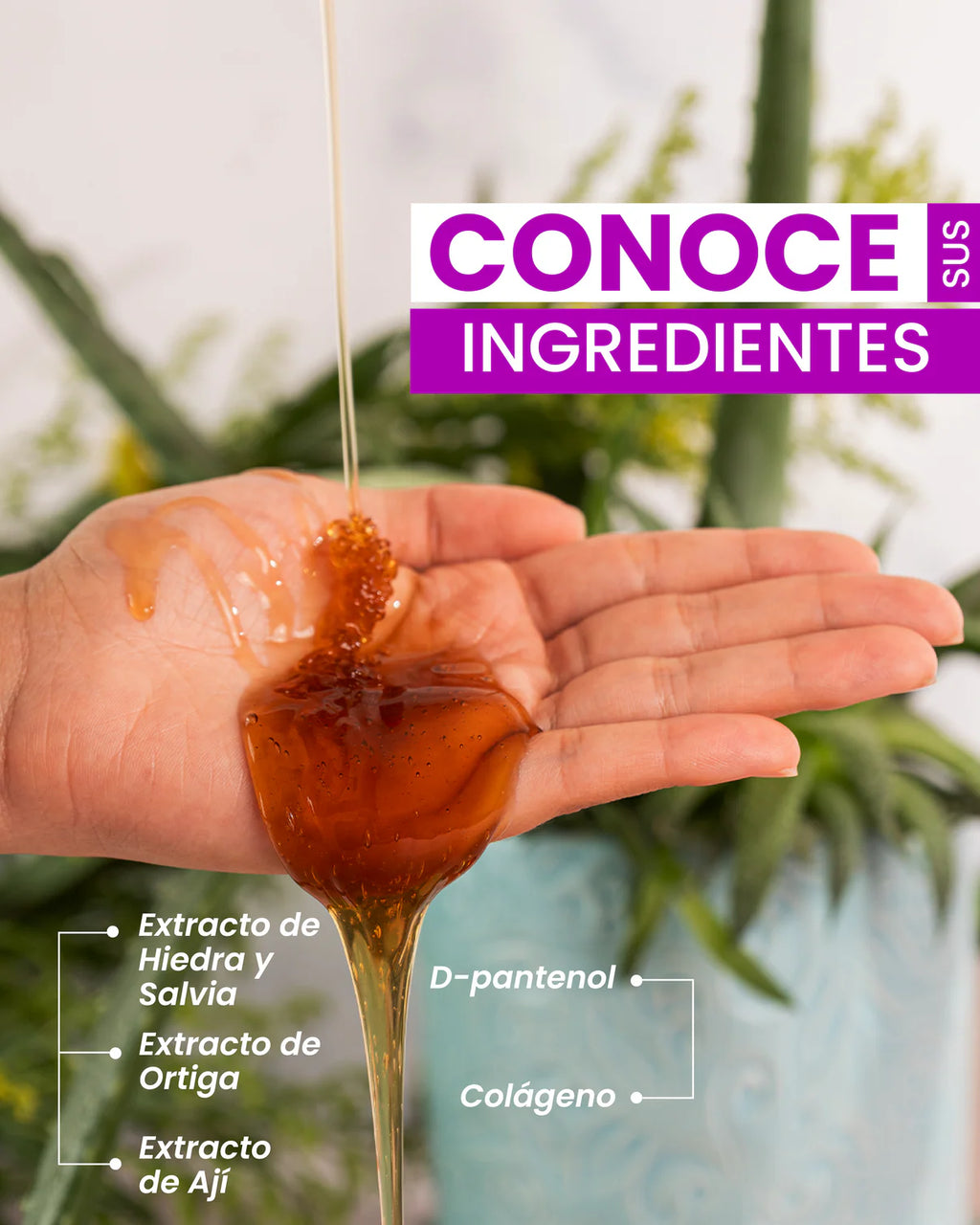 Shampoo Pa Pelo Oscuro - Fruto Salvaje