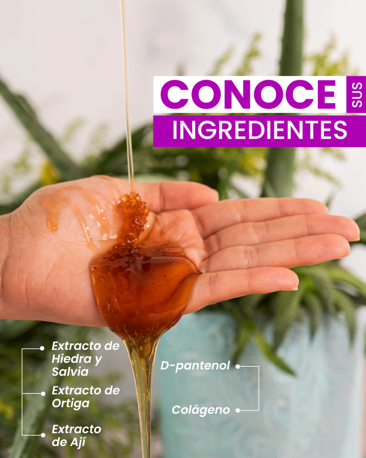 Shampoo Pa Pelo Oscuro - Fruto Salvaje